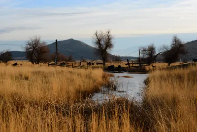 DSC_3091 (Large).JPG